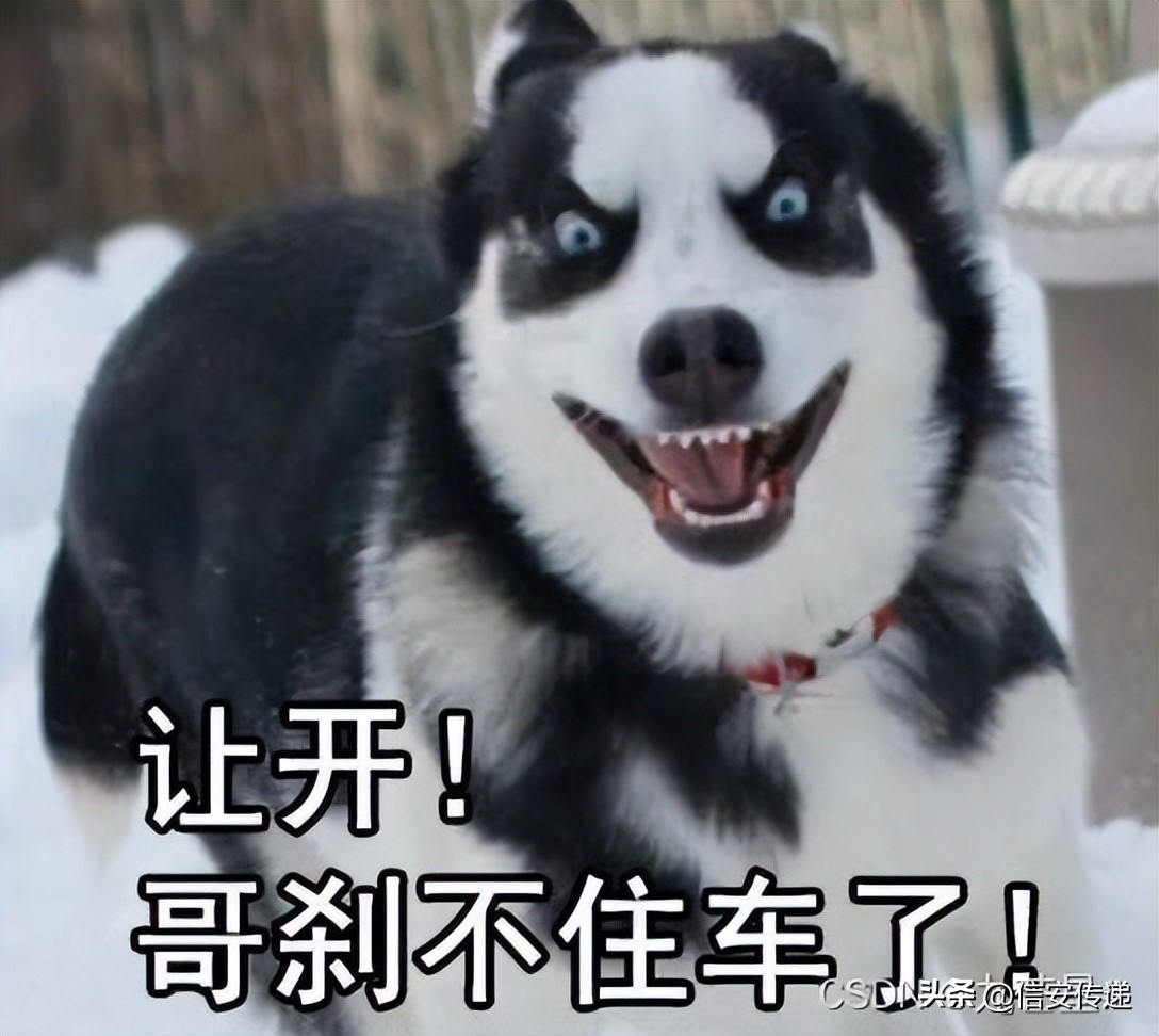 网络攻防实战技巧,网络攻防入门基础知识讲解