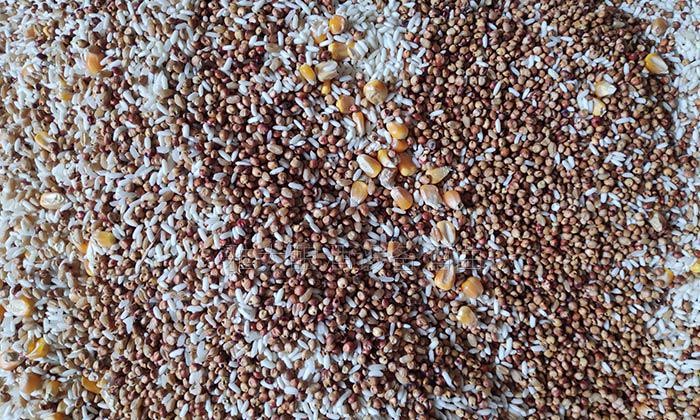 用烤酒设备酿酒,烤酒设备使用方法