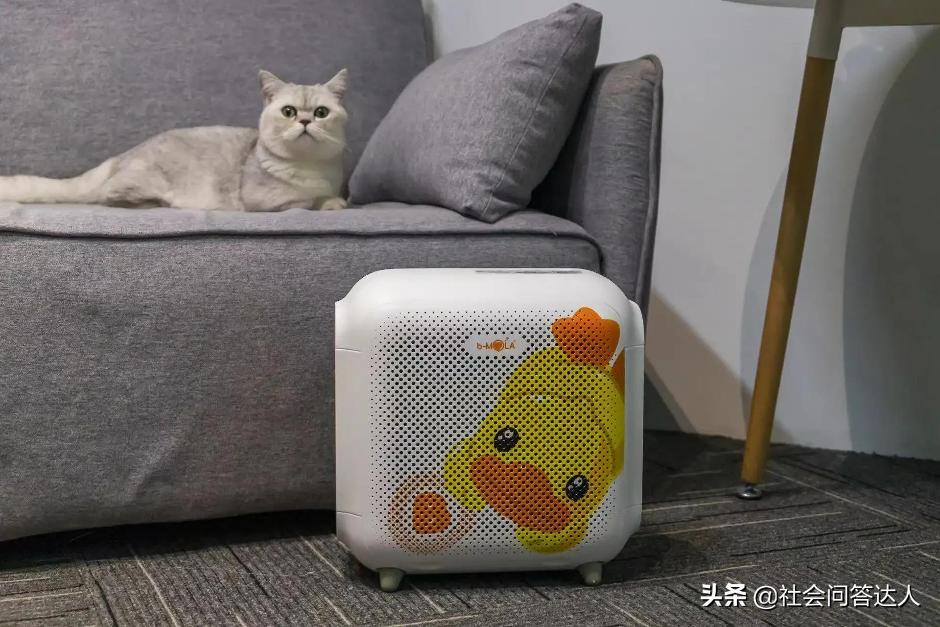 宠物消毒剂的正确使用方法,养宠家庭消毒