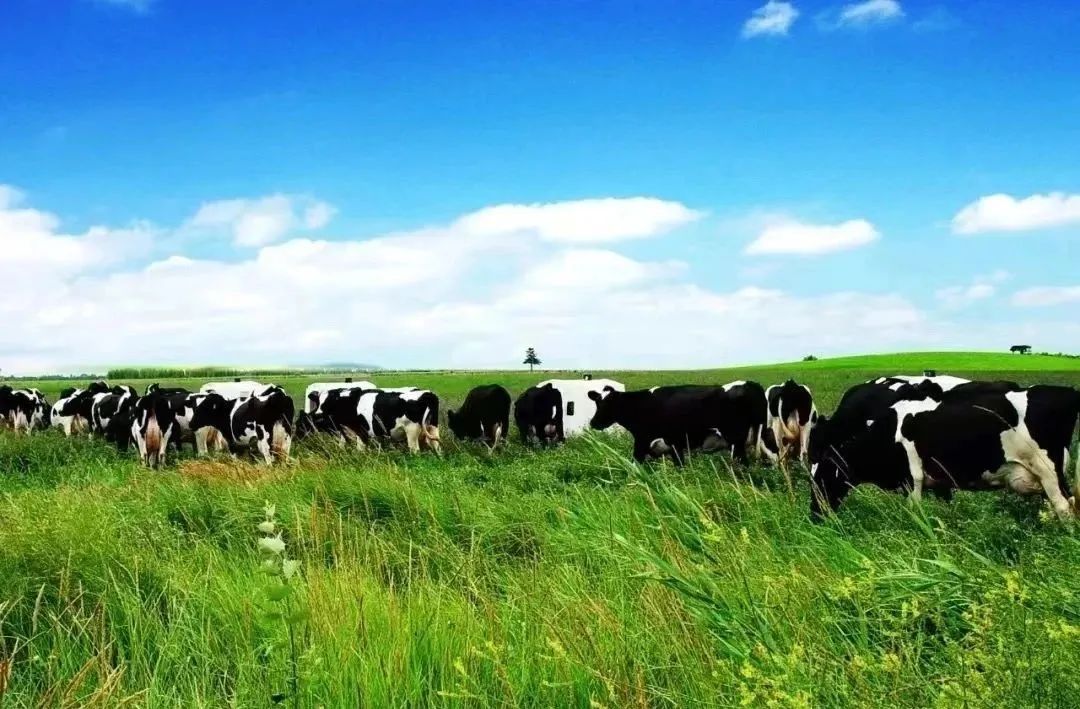 铭记关怀感恩奋进——牢记总书记嘱托交出首府亮丽答卷