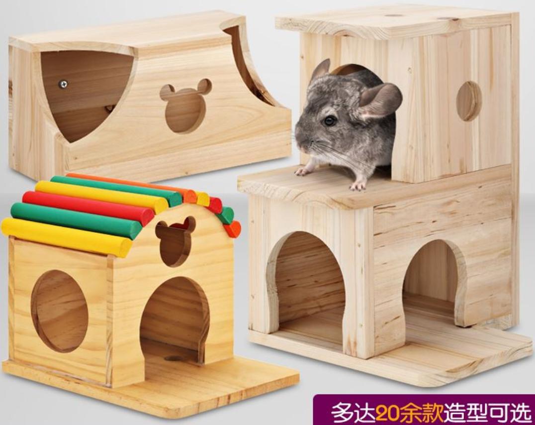 适合新手养的宠物龙猫,养一只可爱的龙猫