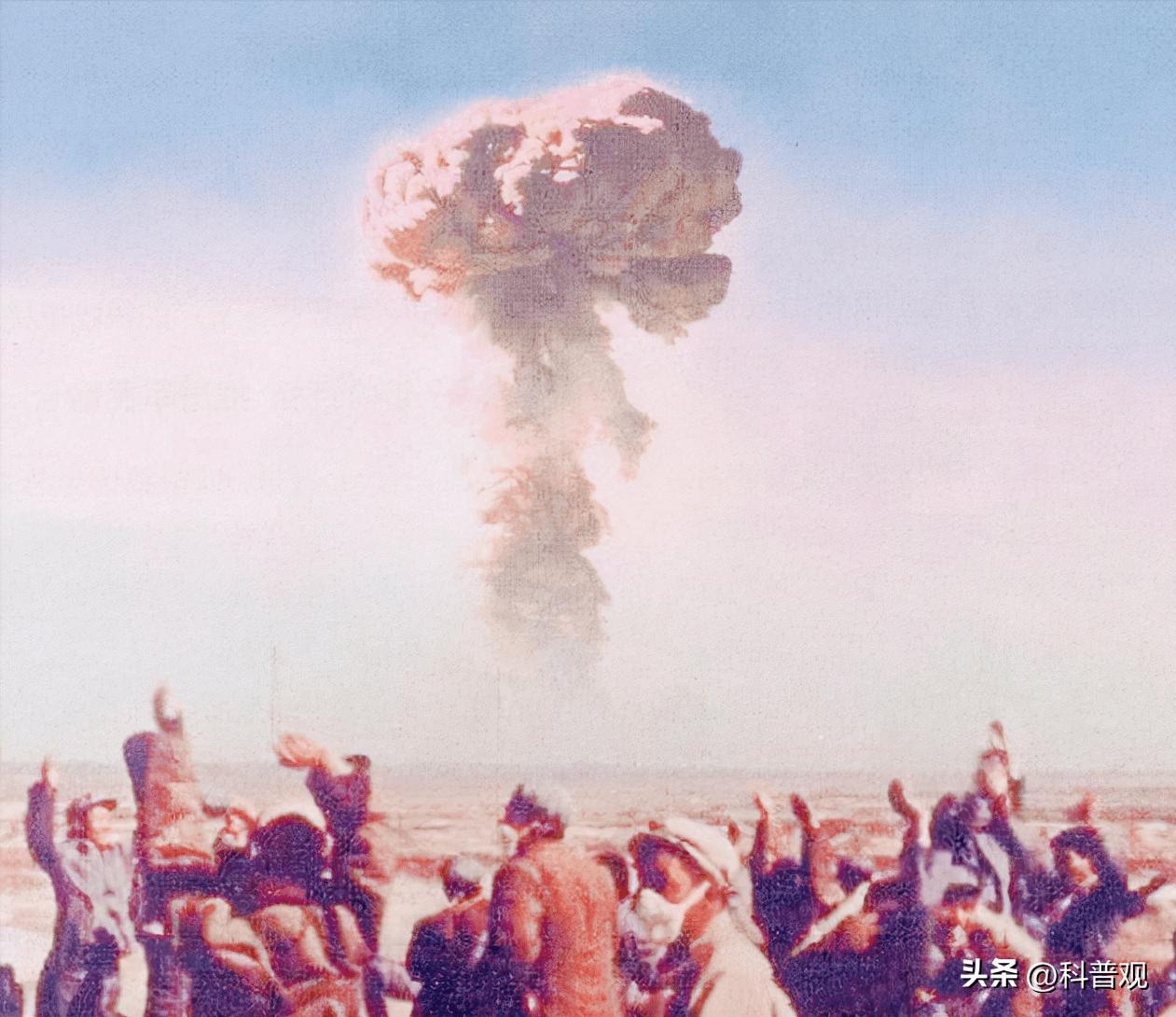 日本垄断中国市场百分之多少,打破西兰花种子垄断的原因