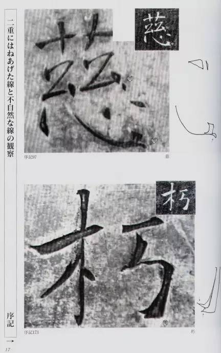 宸ョ瑪鐢绘潹鏅箟鐢诲唽,鏉滈箖鏉ㄦ櫘涔夊畬鏁寸増