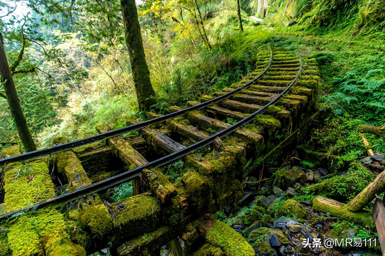 荒废的美国警车,荒芜的美
