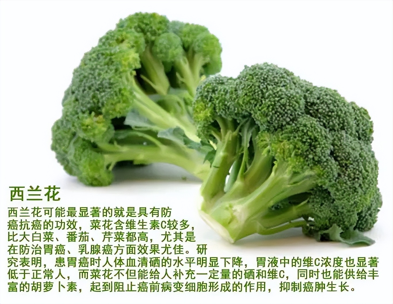 日本垄断的西兰花,西兰花种子为什么会被垄断