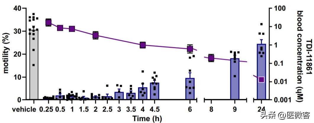 快速避孕药多长时间有效,男性避孕药吃多久起效