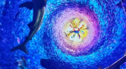 去青岛旅游的感受的短句,到青岛玩一天的说说