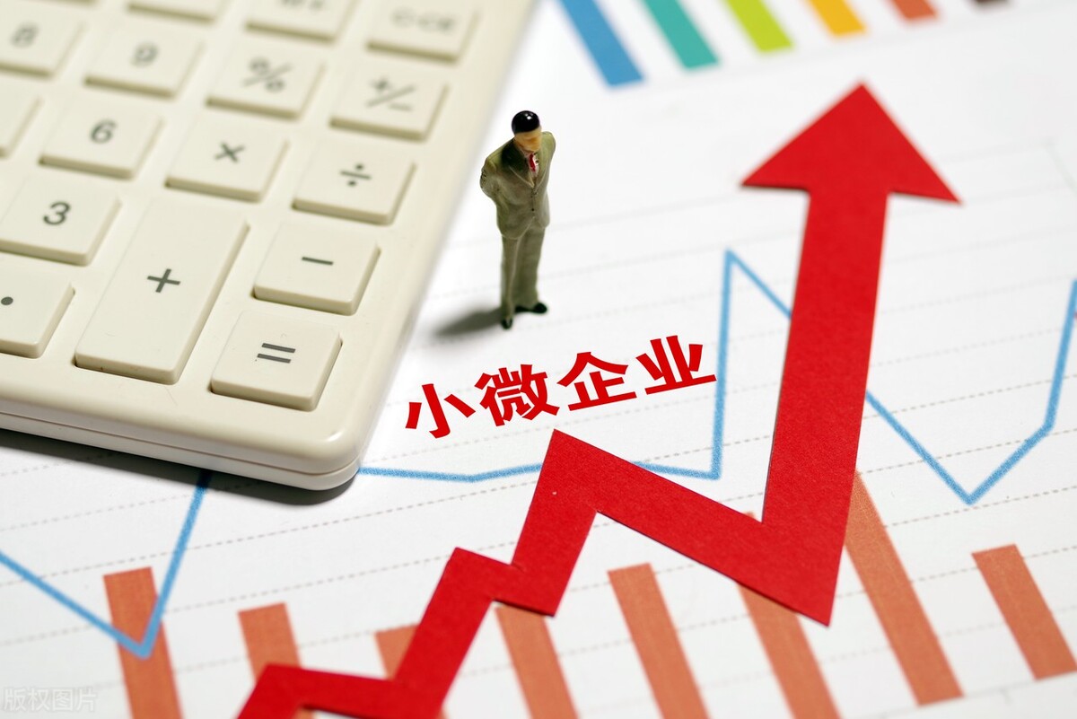 小微企业2022年增值税税率是多少,2022年小微企业开票税率