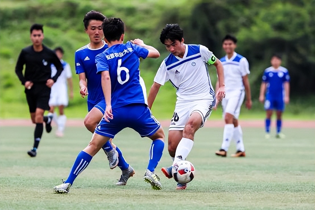 宸翠箼浠婃棩姣斿垎棰勬祴鍒嗘瀽,宸翠箼浠婃棩姣斿垎棰勬祴