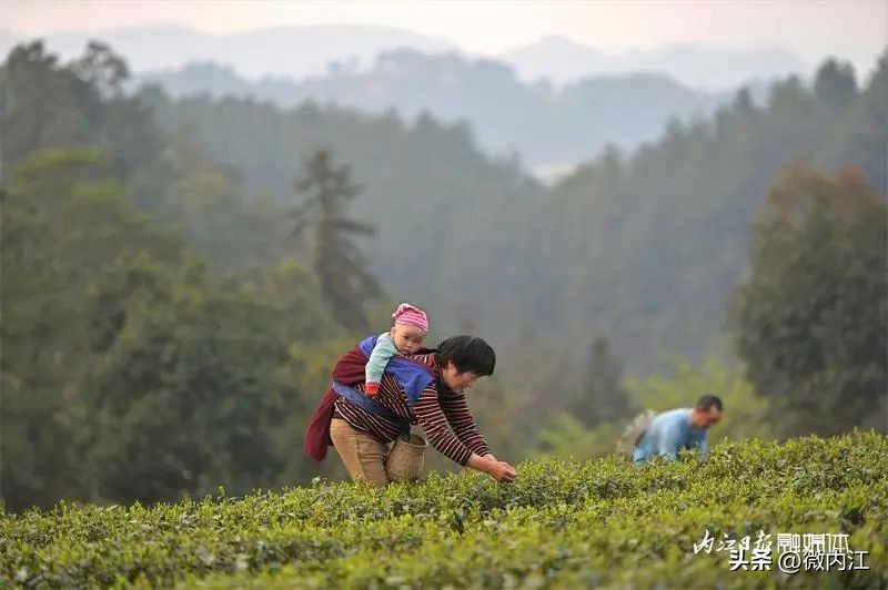 我们一起经历了难忘的事,我们一起经历的瞬间