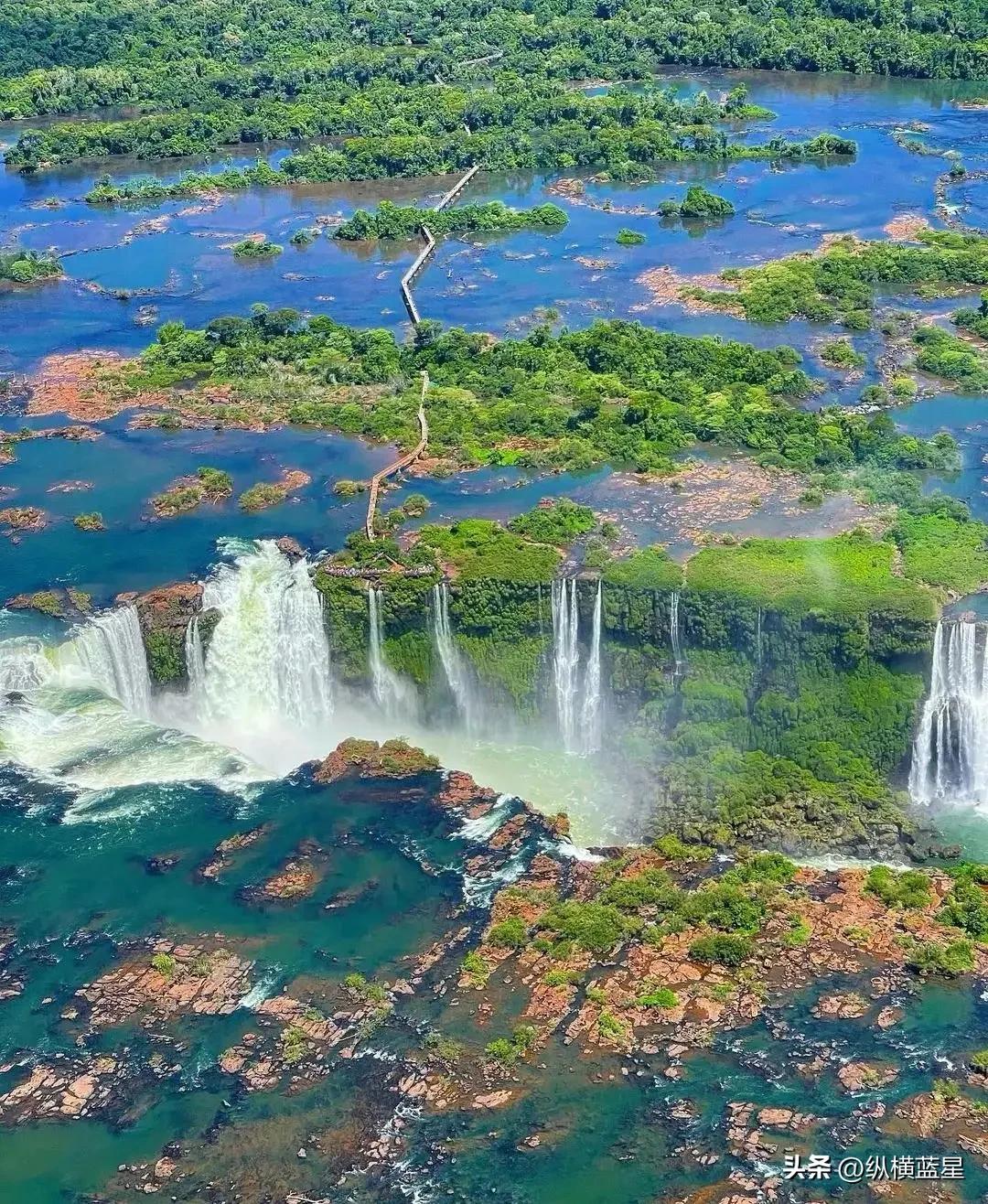 雄鹰展翅好还是站立鹰好,雄鹰vs阿根廷