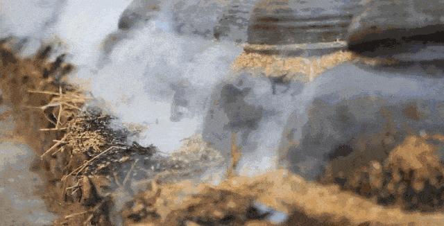 鐢滃懗榛勯厭娴嬭瘎,鐢滃瀷榛勯厭璇勬祴