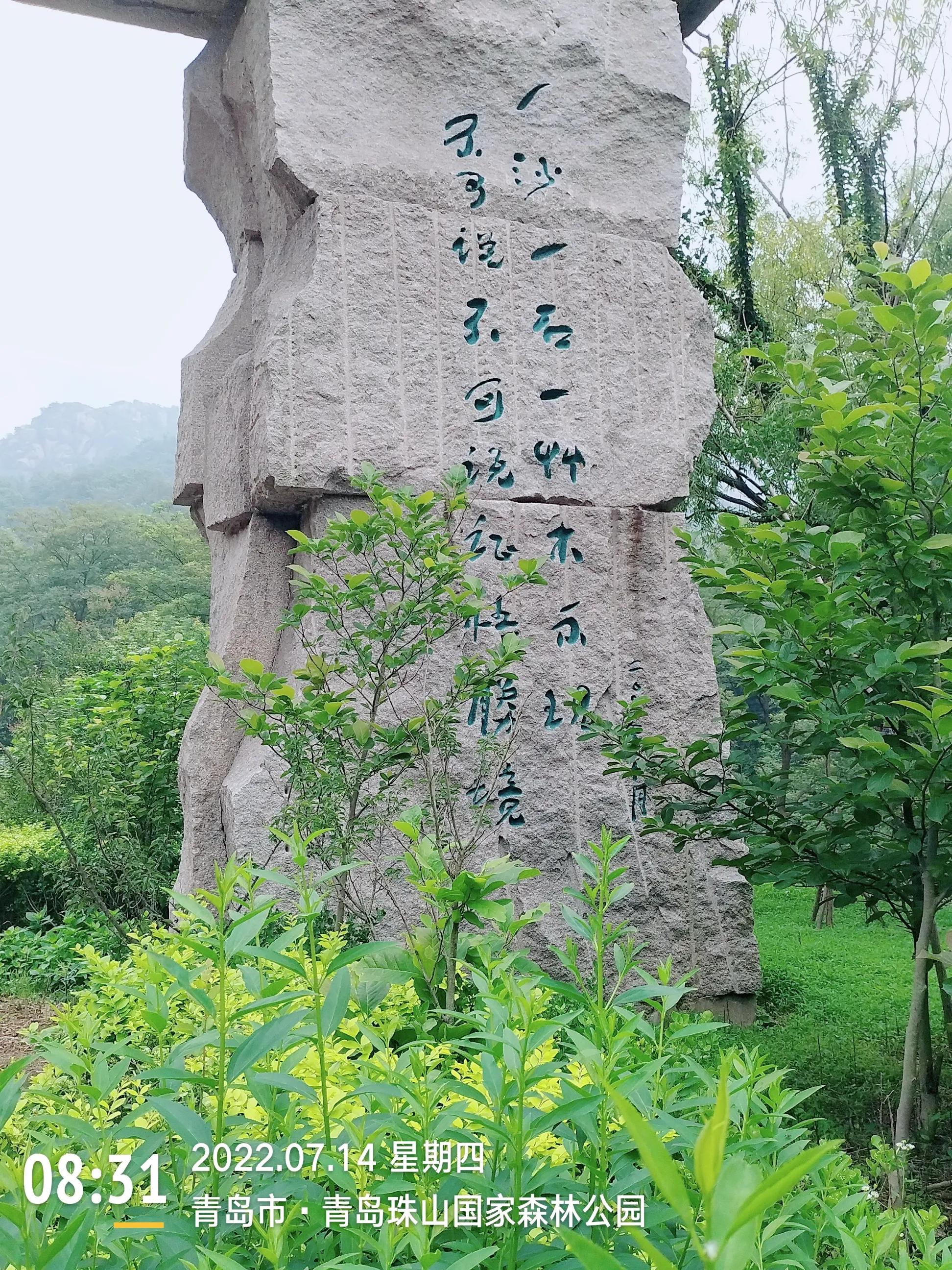 青岛珠山国家森林公园美景,黄岛旅游感受