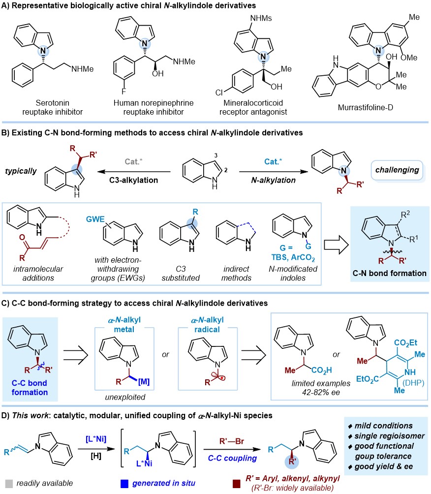 n-鑻勫熀涔欓叞鑻兒鍚堟垚璺嚎,鐑峰熀鍚插摎骞插槢鐢ㄧ殑