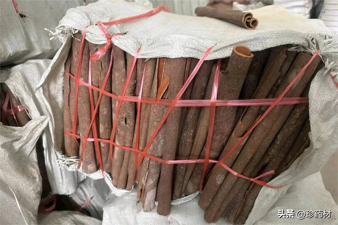 11月22日中药材市场快讯：九香虫、防己、射干、牡丹皮、肉桂等