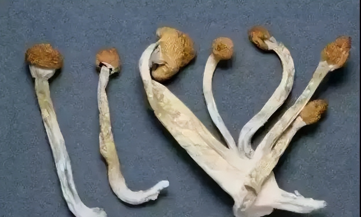 这几类产品千万不要碰,这几种东西能不买尽量别买