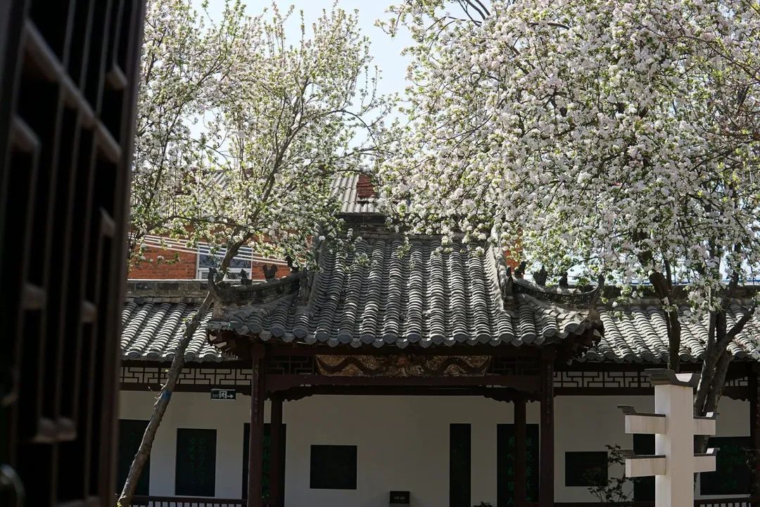 河南黄金周旅游攻略图,光山旅游攻略最佳路线