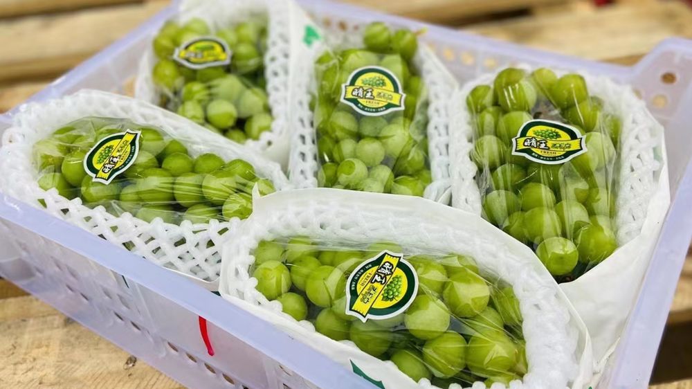 开水果店怎样摆放才好看,水果店怎么陈列才好看好卖