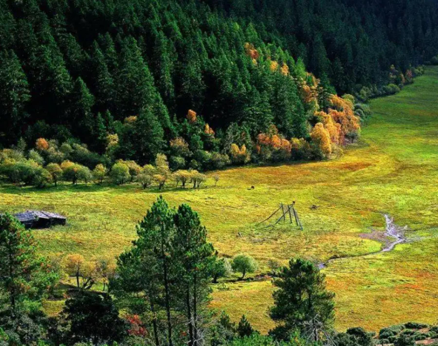云南哪里好玩风景又好,云南旅游哪个地方比较好玩