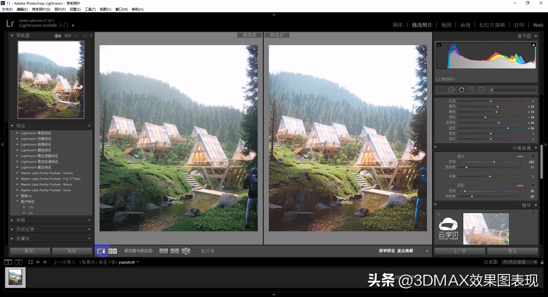 【超写实教程】3DMAX+Corona室外园林景观