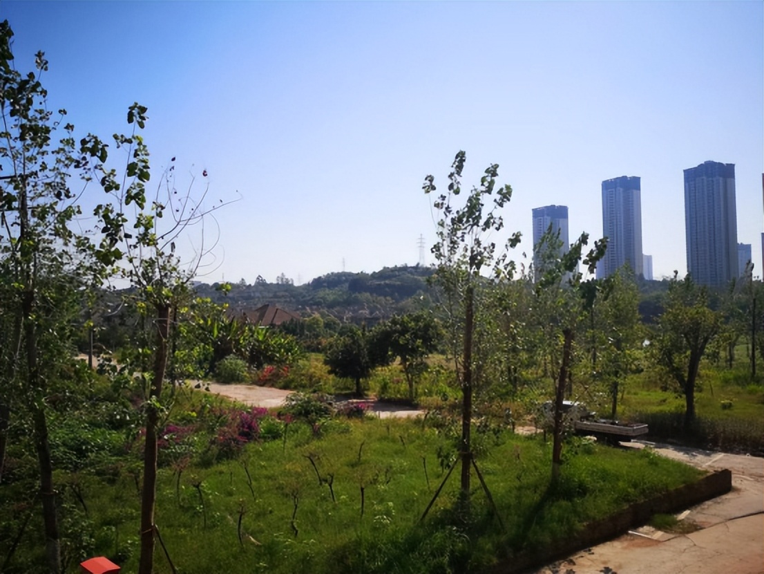 重庆近两年烂尾楼最新排名,重庆烂尾楼业主自救