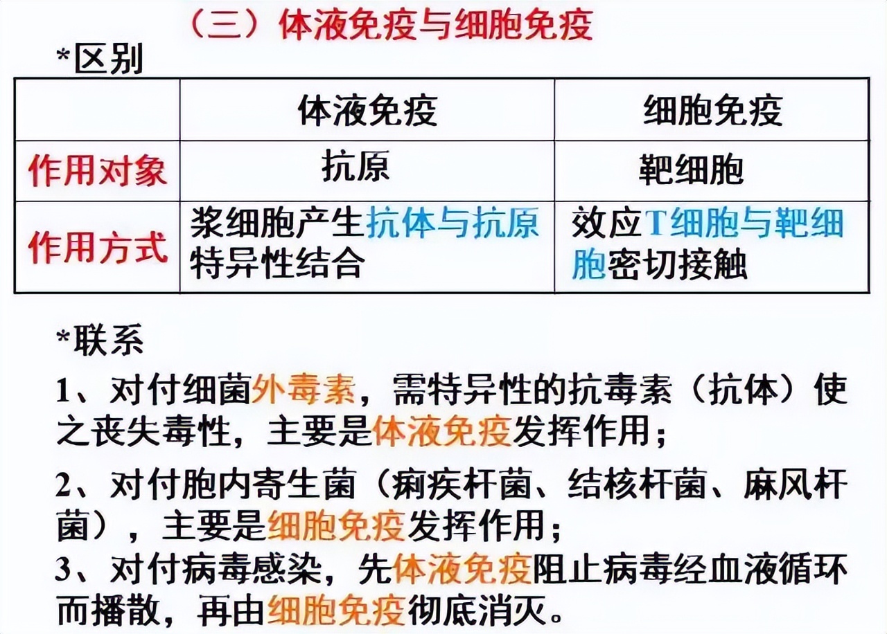 高中生物免疫失调知识点讲解视频,高中生物免疫调节