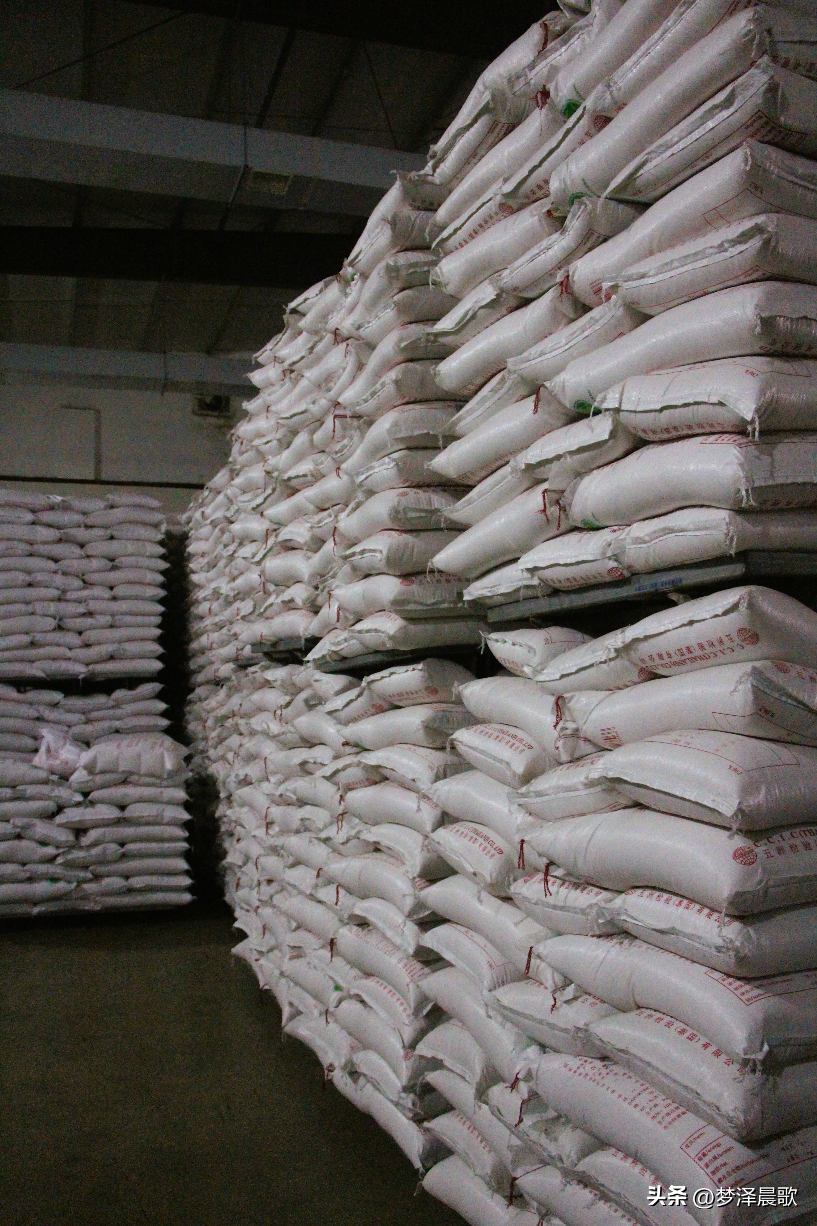 云梦好找工作吗,云梦未来的创业项目