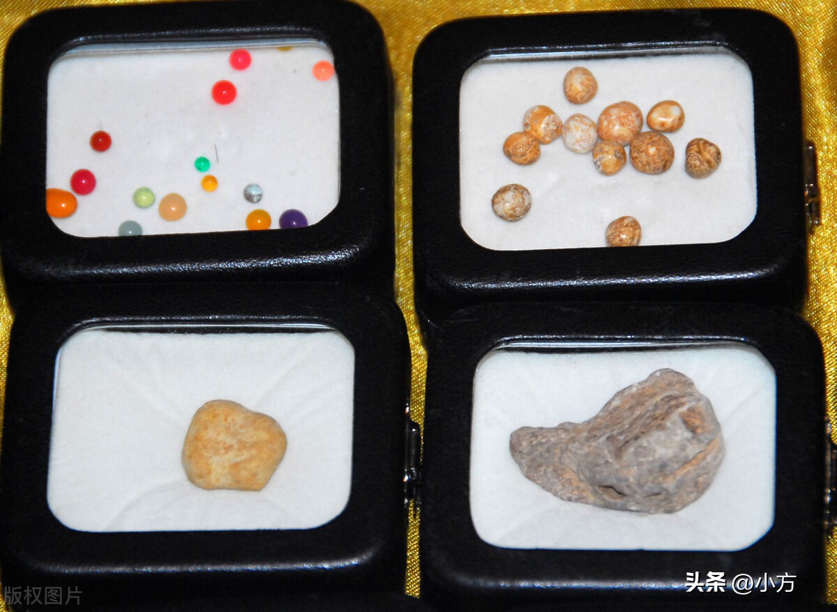 佛教圣物舍利子,佛教释迦牟尼的传说