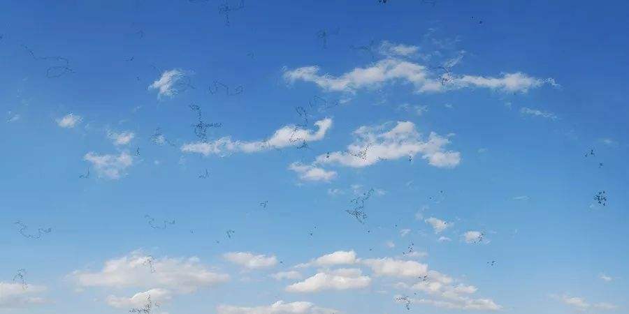 眼前只有一个小黑点算是飞蚊症吗,眼前有飞蚊症怎么办