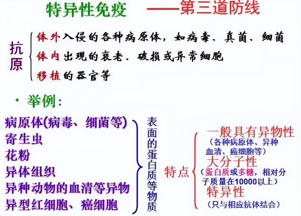 生物高中知识点免疫调节,高中生物免疫调节精讲视频