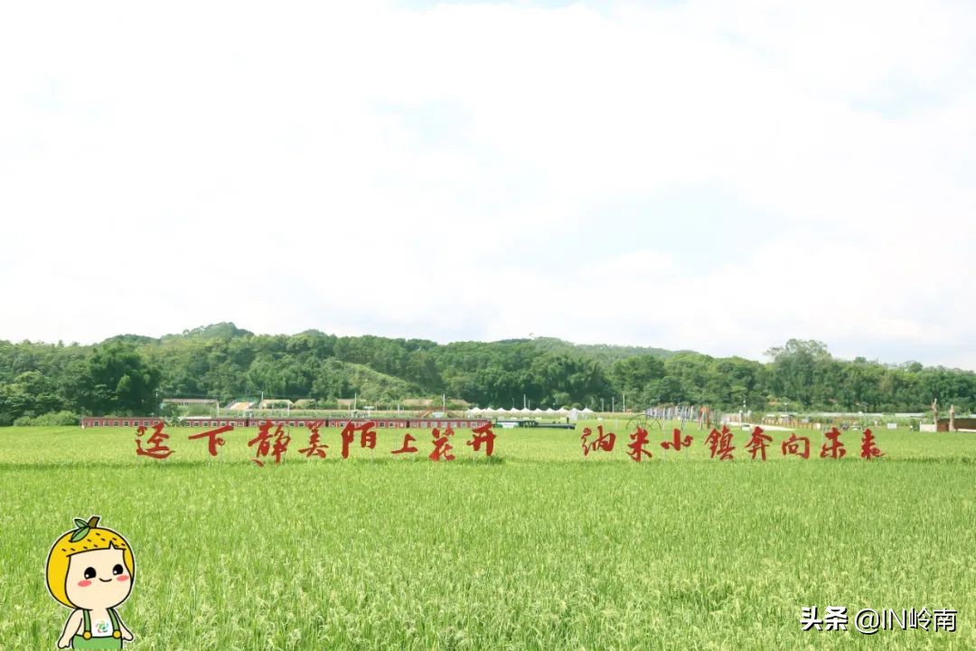 音乐潮玩市集白云公园站,潮玩街区音乐集市仁寿