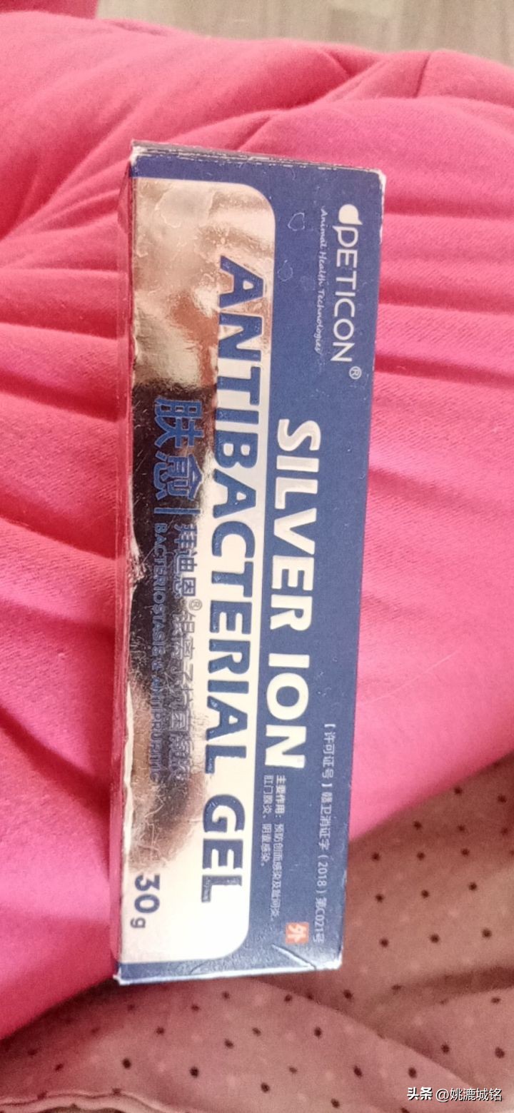 猫的肛门腺怎样治疗,猫的肛门治疗