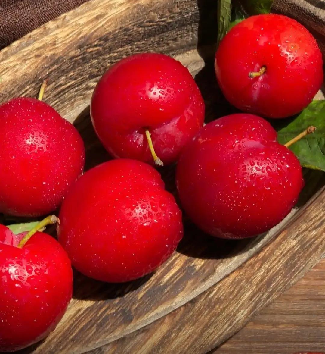 三个女人的纷争12,三个女人的纷争三十三集大结局