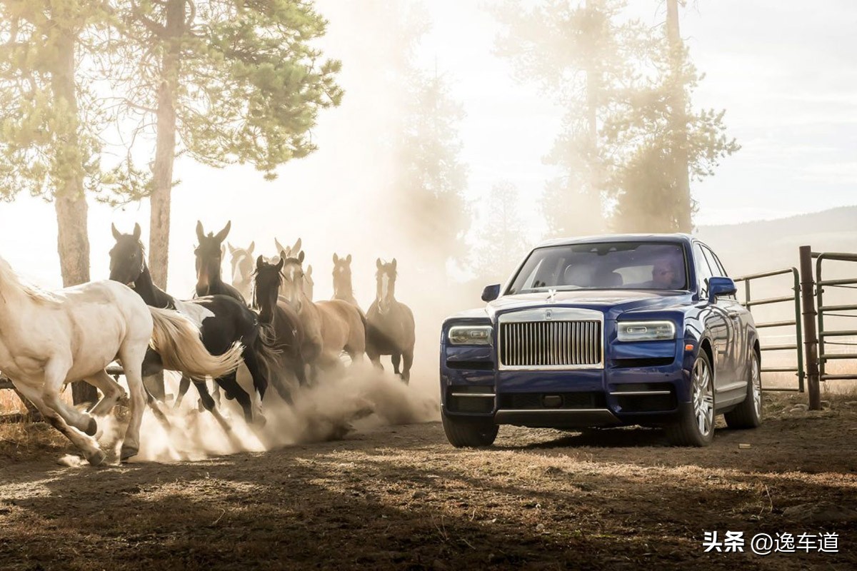 近600万的二手车你见过吗？这台劳斯莱斯库里南是不是你的菜