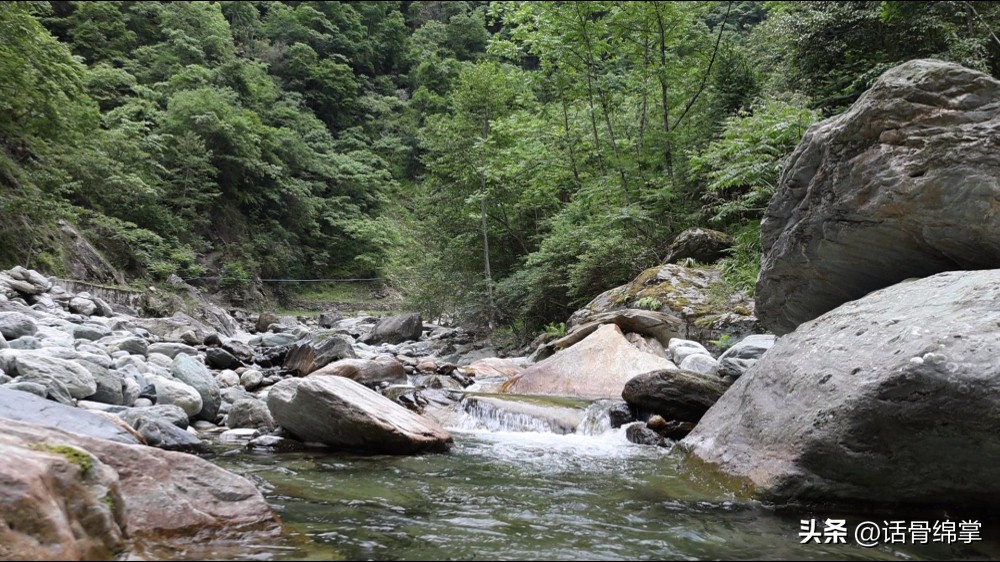 六五环境日关爱自然图片,六五环境日是什么