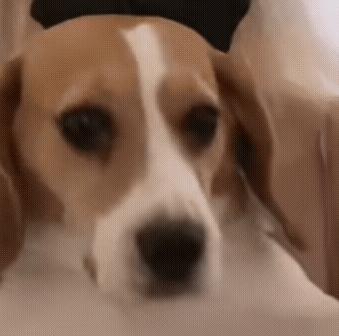 热门微信表情包收藏,微信那些可爱的表情包