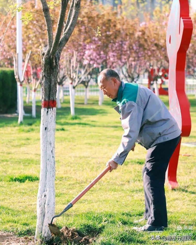 清晨的公园静态美和动态美,运城体育公园夜间灯光