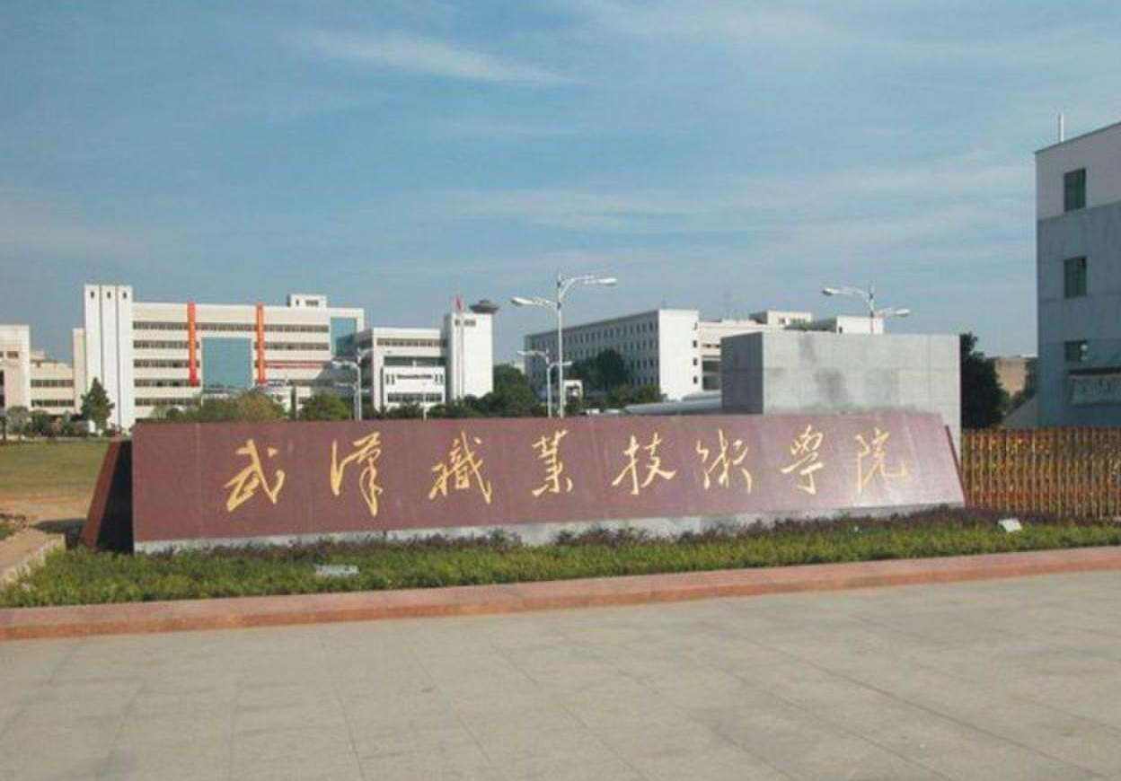 湖北十大比较好的高职院校有哪些,湖北国家示范高职院校有哪些