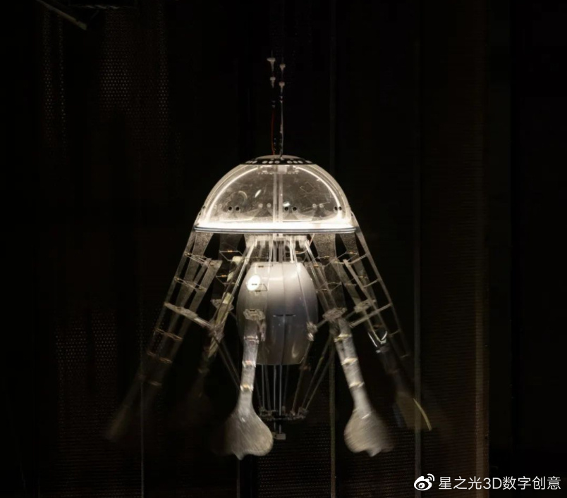 水母节灯光,水母灯动态