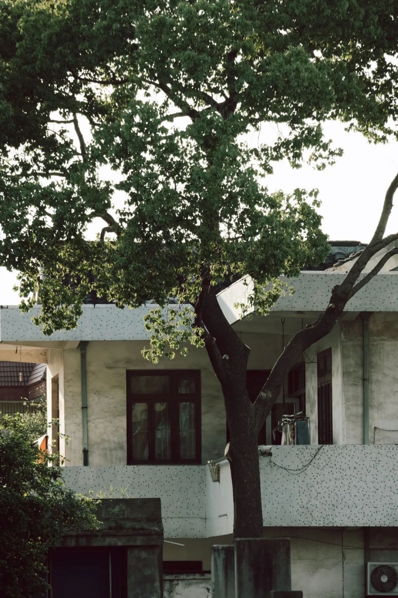 《张家港》，一部自带热度的电影