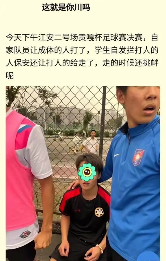 四川学生被多人殴打,四川学生被殴打后续