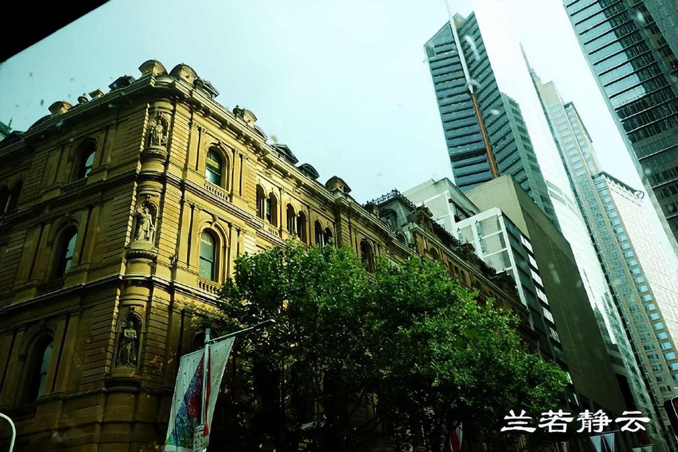 澳洲悉尼街拍,澳洲街拍