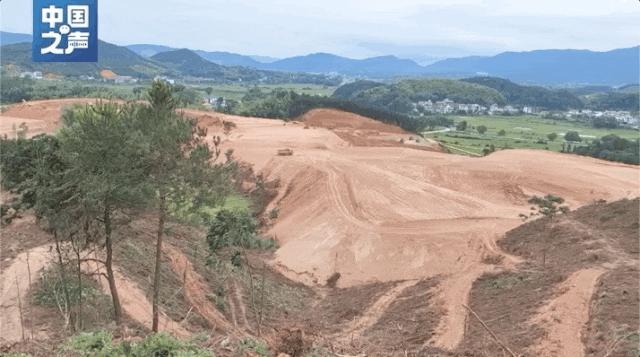 江西无证砍伐生态林,一地为建产业园砍伐林地
