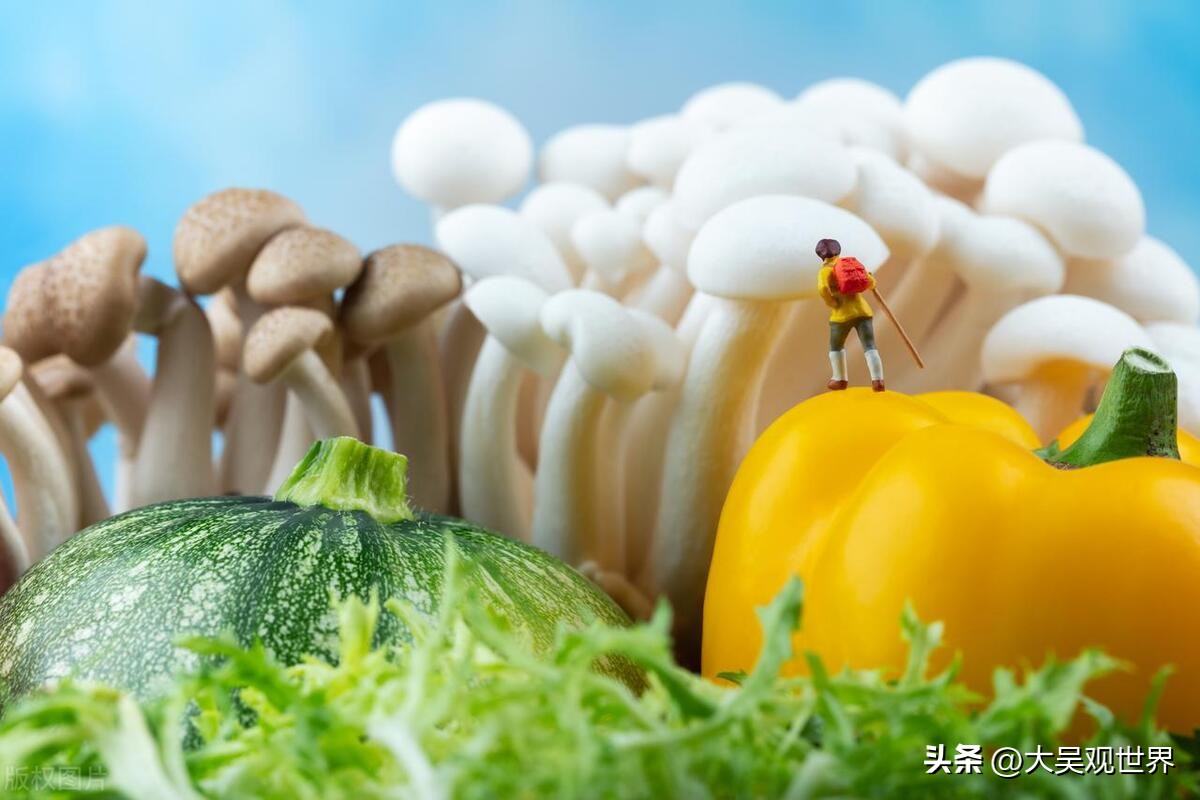 打架纠纷怎么处理,小孩打架父母正确处理方式