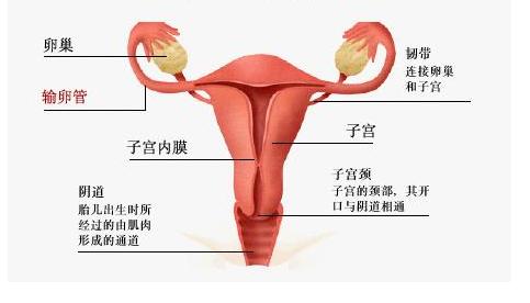宫颈癌治疗期间，“阴道冲洗”必不可少，且有讲究