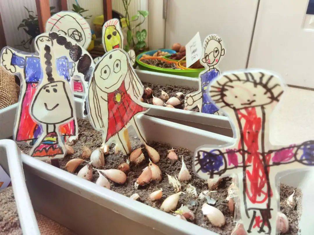 生态环创幼儿园自然角,幼儿园环创自然角实验