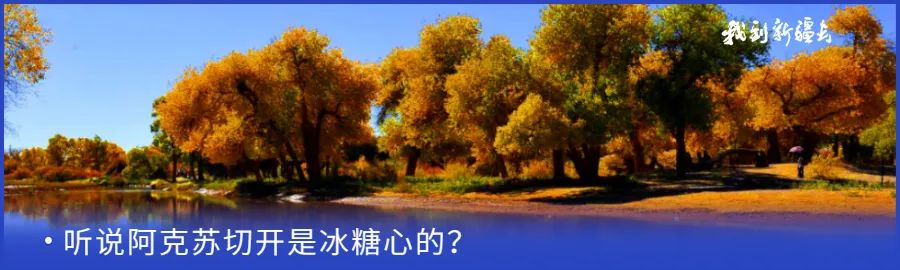 入疆旅游攻略,环疆旅游攻略大全