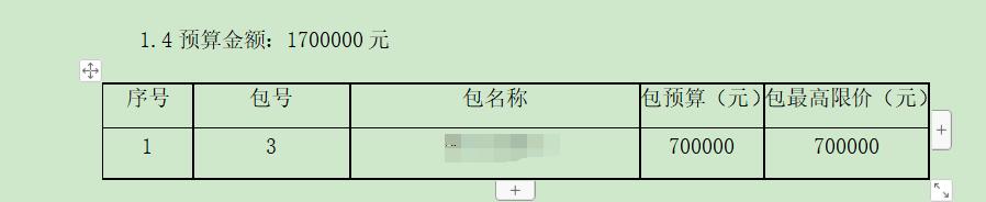 标书中哪些错误可以修正,标书中有错误页怎么处理