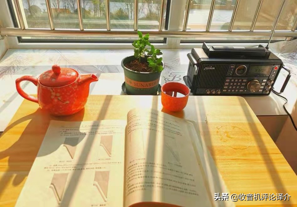 我的收音机情缘,我的收音机评论