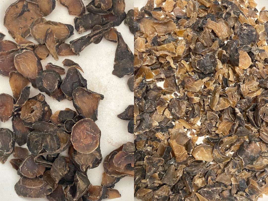 中药创新全过程,中药发展简史给我们的启发